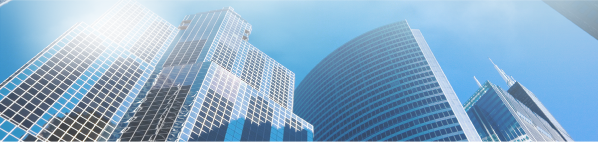 Professional Debt Collection Agency